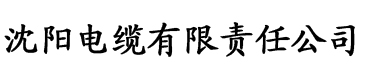 亚洲精品一二三区区别在哪电缆厂logo